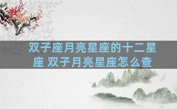 双子座月亮星座的十二星座 双子月亮星座怎么查